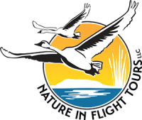 Nature in Flight Logo