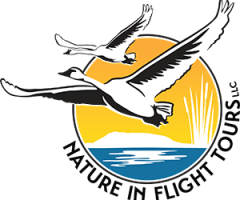 Nature in Flight Logo